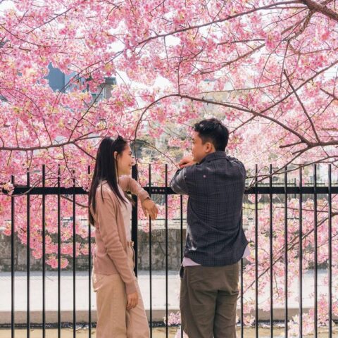 卒業・新生活シーズンに考える 在日コリアンの婚活スタート｜民族結婚と新しい出会い